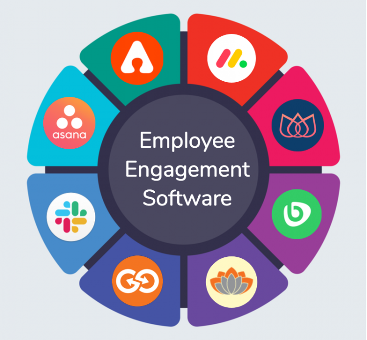 Employee engagement software