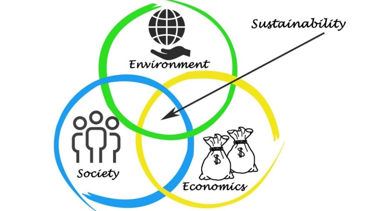 Business sustainability initiatives