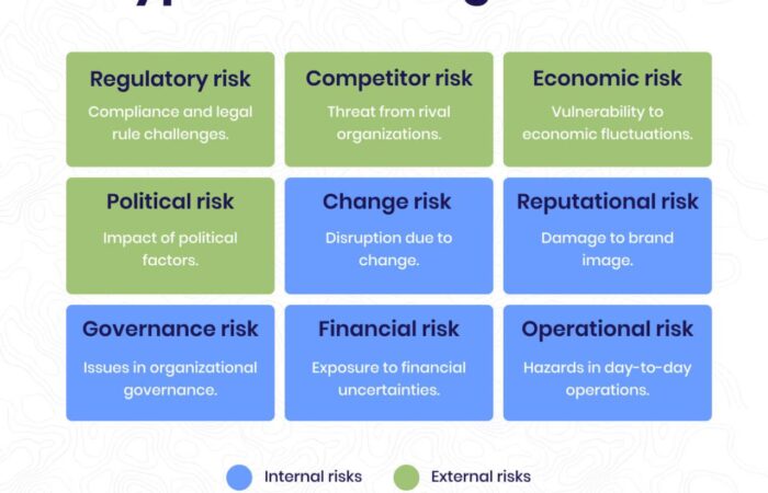 Financial risk mitigation strategies