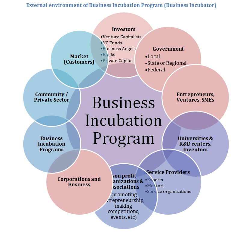 Incubators accelerators startup