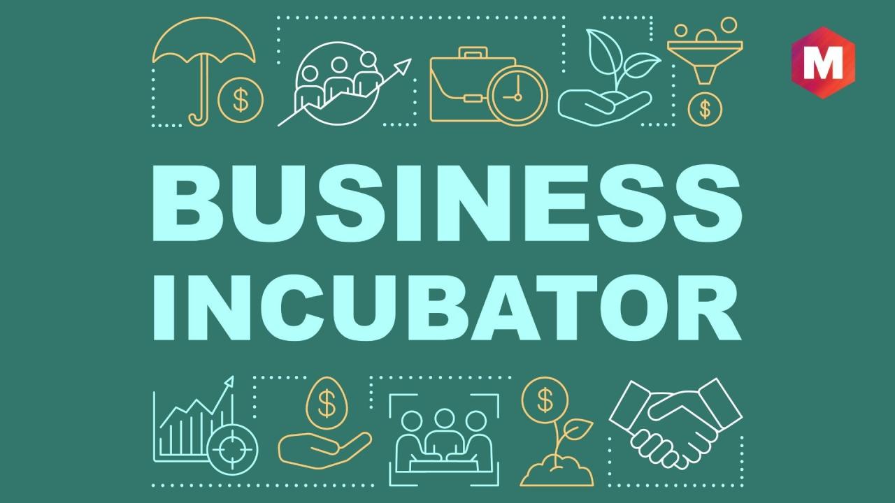 Business innovation incubator initiatives