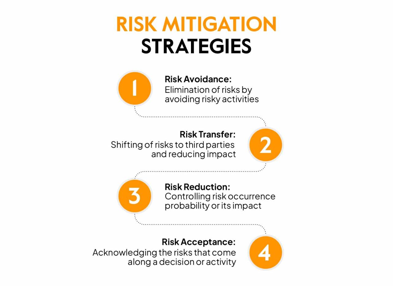 Financial risk mitigation software strategies