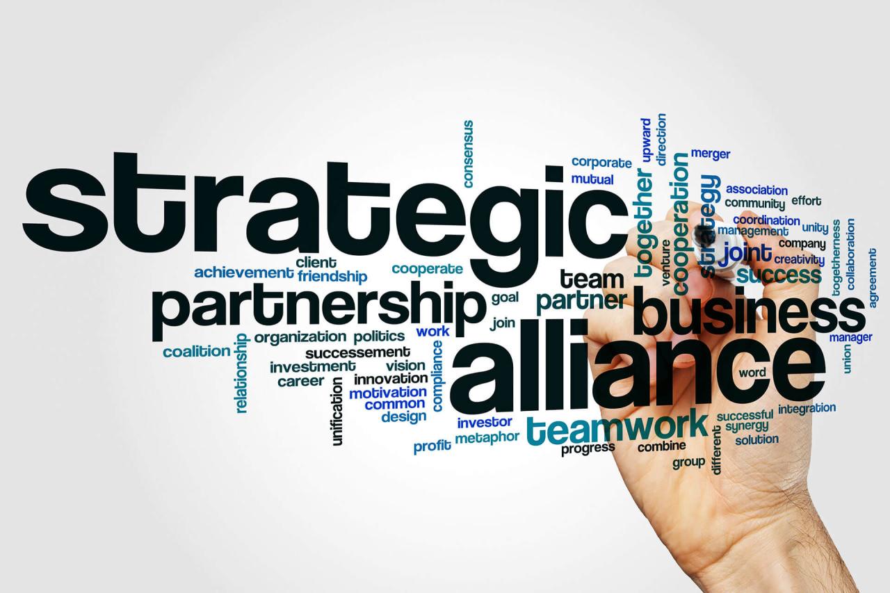 Strategic partnership management