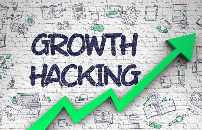 Business growth hacking techniques